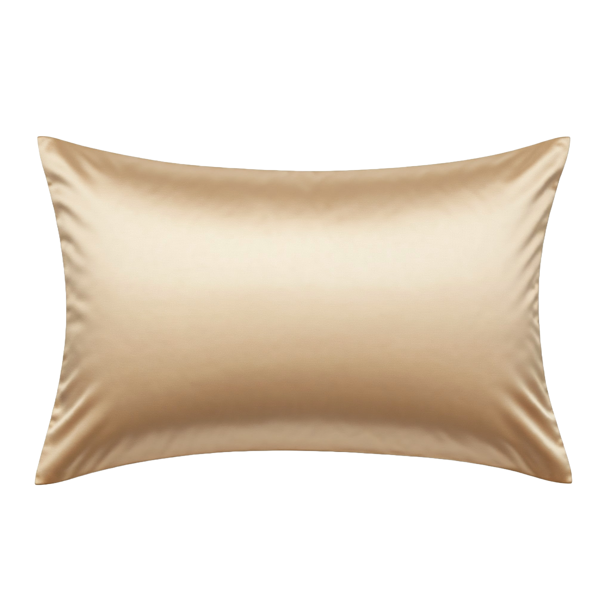 Silk Pillowcase - Large - 2pc