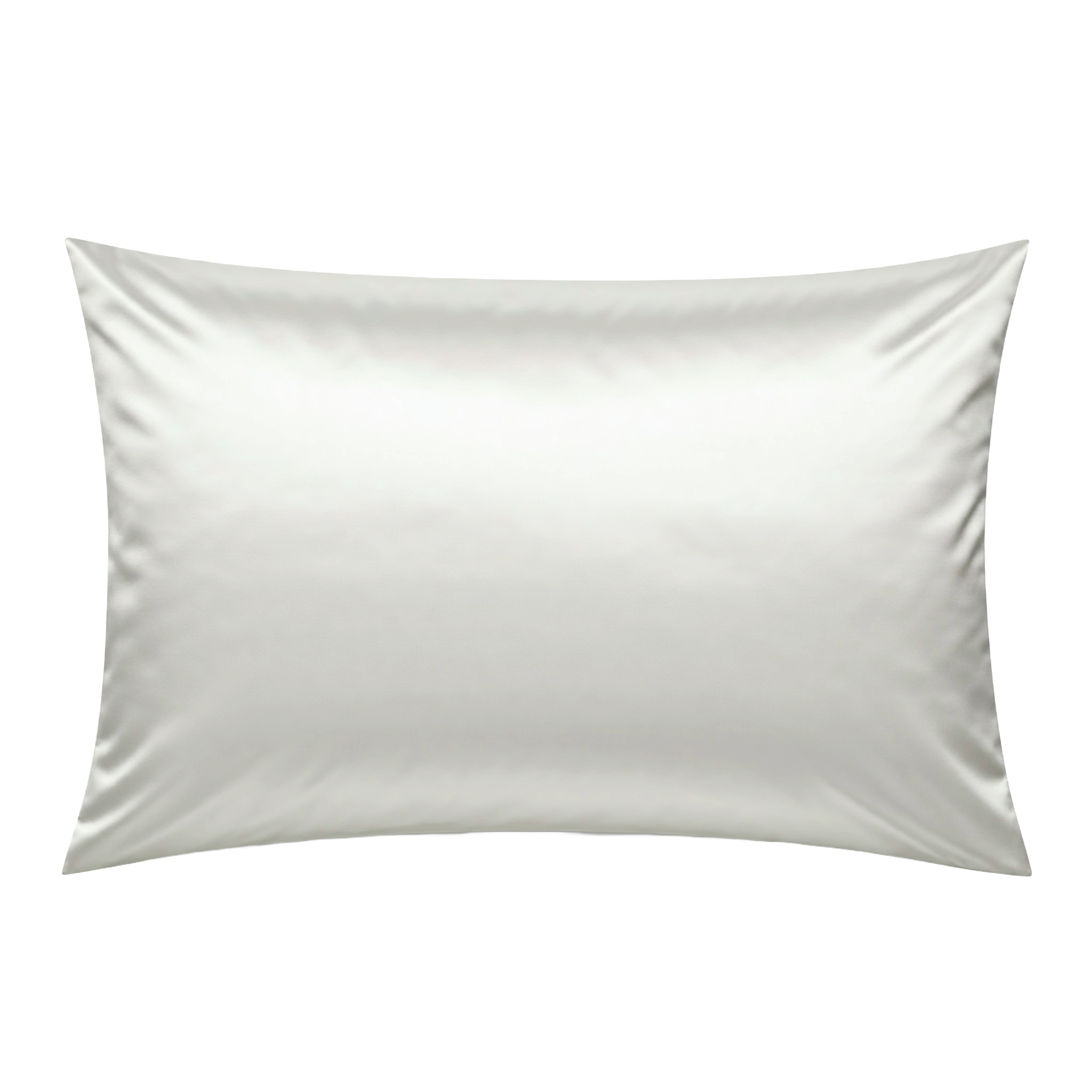 Silk Pillowcase - Large - 2pc